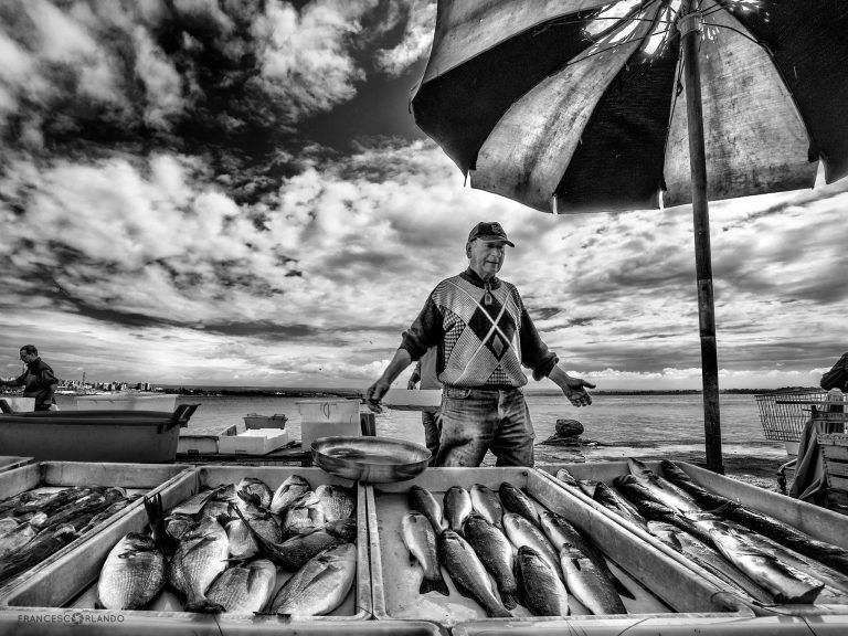 Fotografia in bianco e nero al banco del pesce di Francesco Orlando