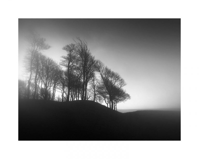 Paesaggio in bianco e nero di Antonio Gouveia: alberi sul crinale