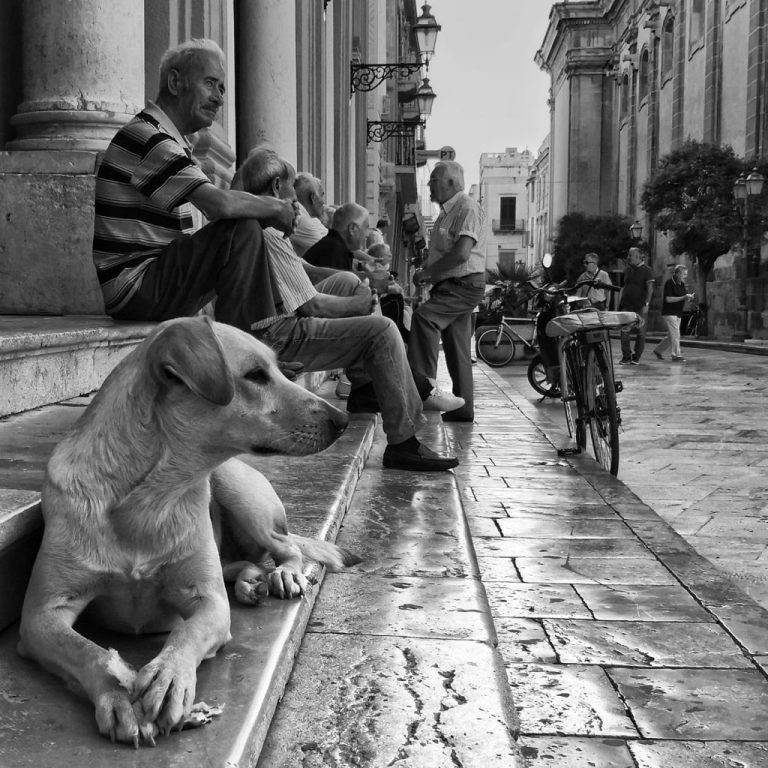 Street photography in bianco e nero: il cane e la vita quotidiana secondo Francesca Ruggieri