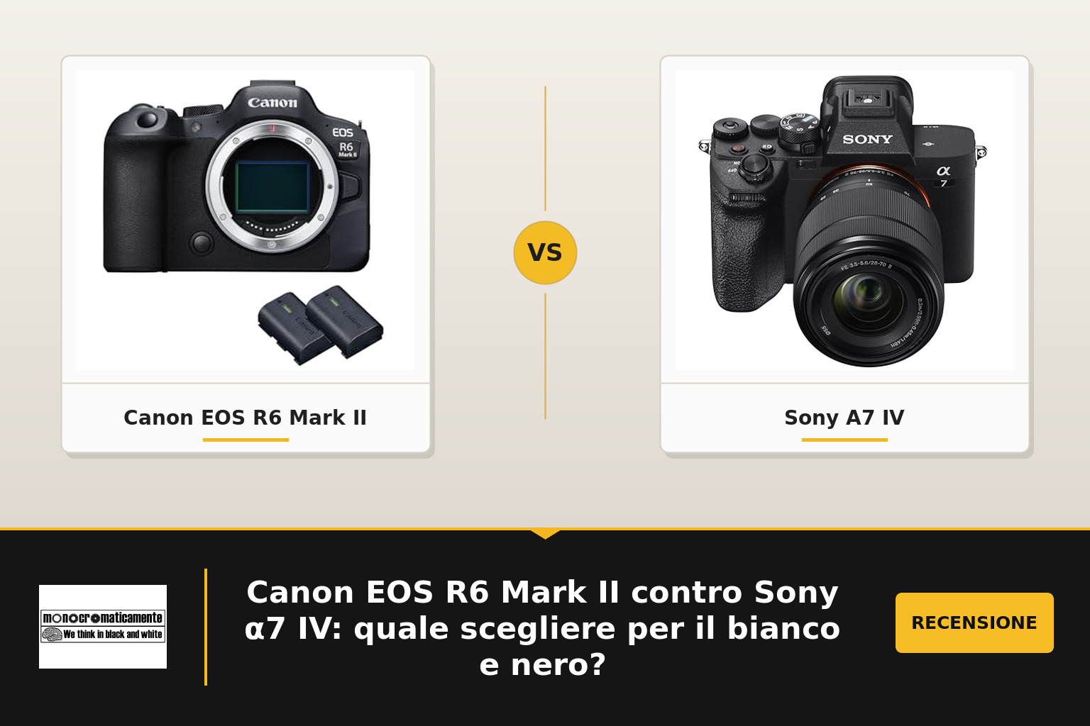 Canon EOS R6 Mark II contro Sony α7 IV: quale scegliere per il bianco e nero?