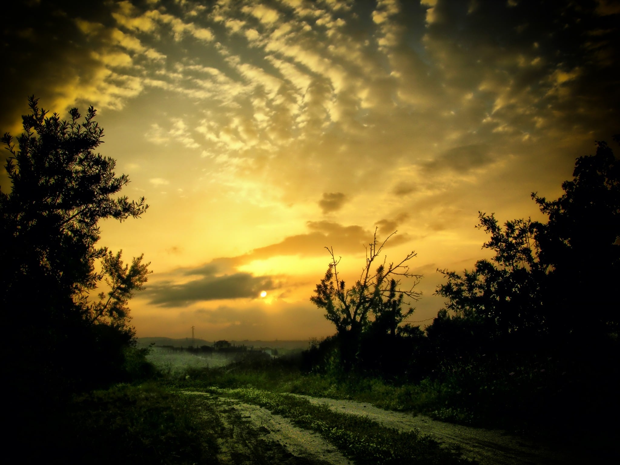 Tramonto dorato e silhouettes: profondità e Uro dell’orizzonte