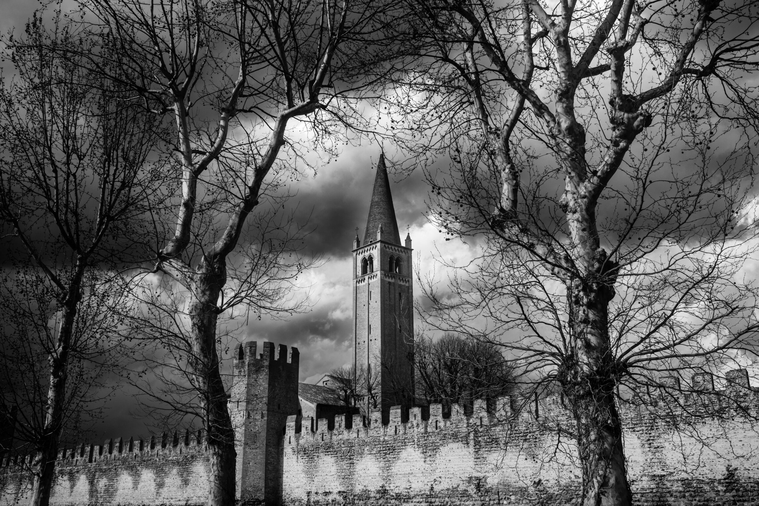 Montagnana: leggibilità e profondità tra torre e rami in bianco e nero