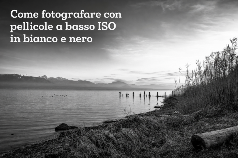 Come fotografare con pellicole a basso ISO in bianco e nero