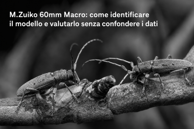 M.Zuiko 60mm Macro: come identificare il modello e valutarlo senza confondere i dati