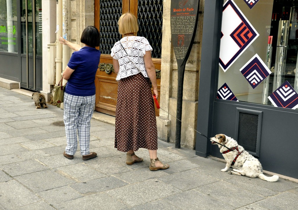 Momento di quotidianità urbana: due figure, cane e tessuti in armonia cromatica