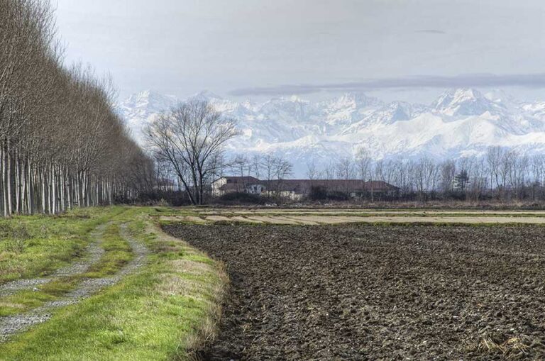 Verso le montagne: profondità, ritmo e quiete tra protezione di alberi e neve