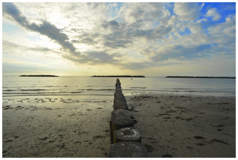 Linee di pali in primo piano e orizzonte dorato: silenzio e profondità naturali sul lido di Ferrara