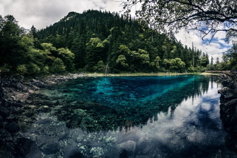 Jiuzhaigou: profondità azzurra tra pinete e riflessi lucidi in equilibrio cromatico