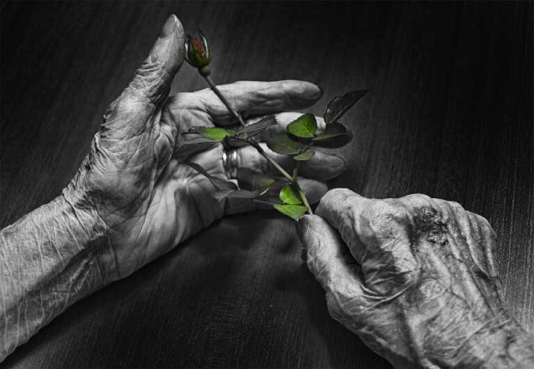 Bocciolo tra mani: memoria, cura e resistenza in bianco e nero