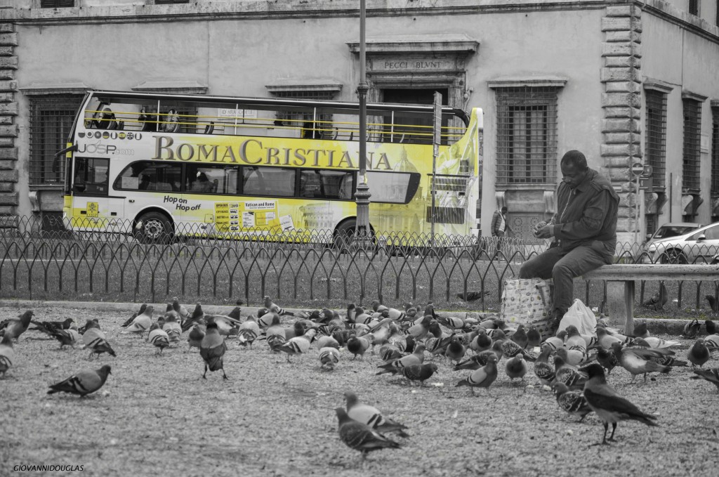 Roma in pause di viaggio: luci, uccelli e silenzio urbano in bianco e nero